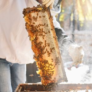 Doğal Petek Bal 1 Kg